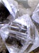 Diamonds: Leathal gems